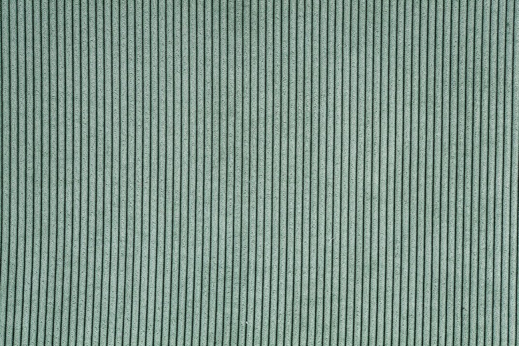 Tissu Velours Côtelé Vert...